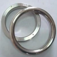 Ring Joint Gasket Material SS