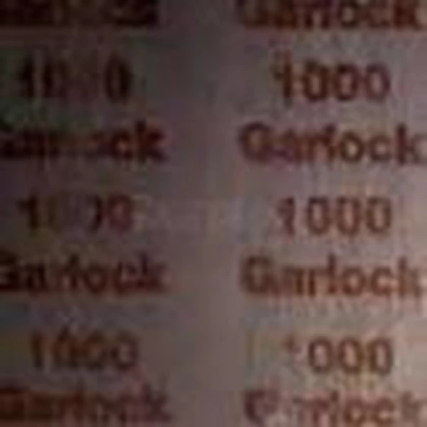 Packing Gasket Garlock 1000