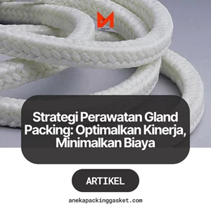 Strategi Perawatan Gland Packing: Optimalkan Kinerja, Minimalkan Biaya